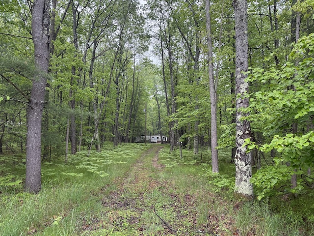 8073 W 10 1/2 Mile Rd, Irons, MI 49644 - photo 1
