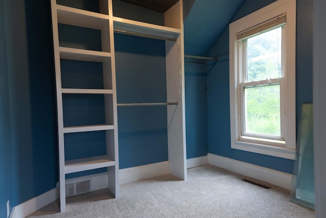 67679 Union Rd, Union, MI 49130 - walk in closet featuring carpet floors and lofted ceiling