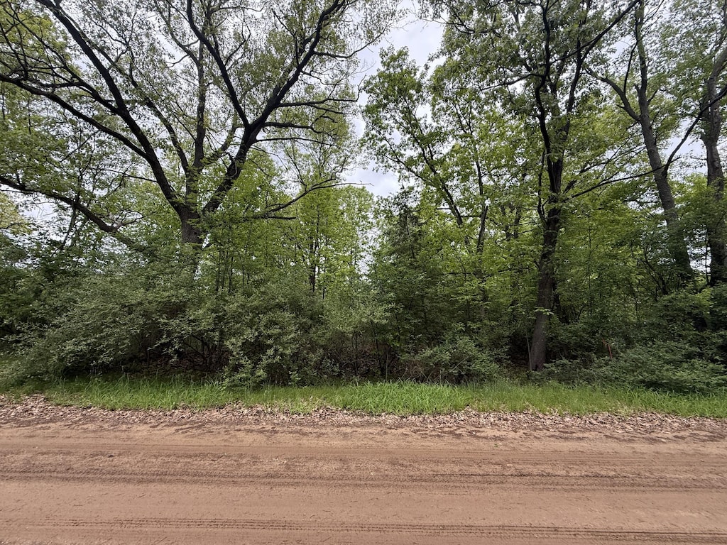 V/L Ann Arbor Rd, Grass Lake, MI 49240