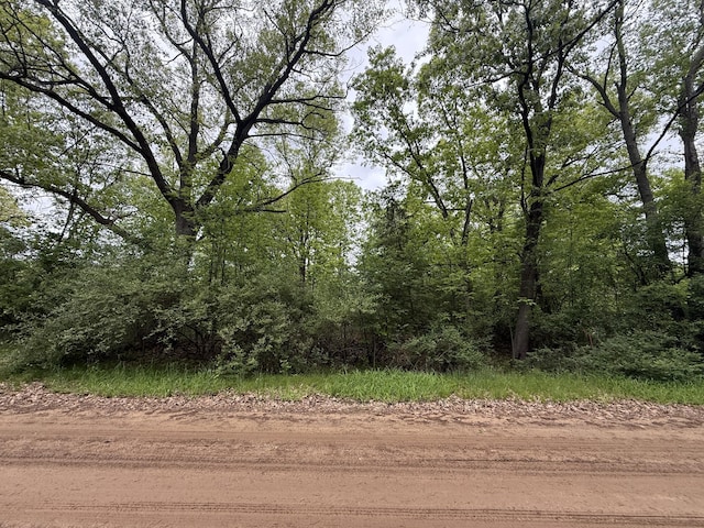V/L Ann Arbor Rd, Grass Lake, MI 49240