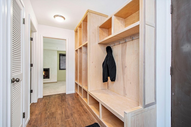 7362 30th St SE, Ada, MI 49301 - mudroom with dark wood-style flooring and a lit fireplace