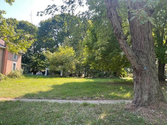 411 Mechanic St, Albion, MI 49224 - photo 2