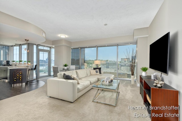 335 Bridge St NW Unit 1101, Grand Rapids, MI 49504 - living area with carpet floors