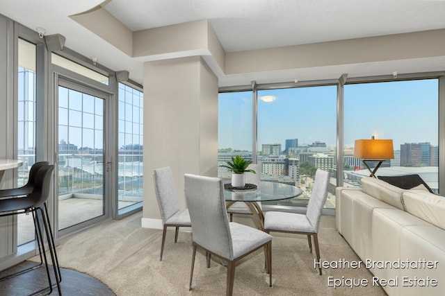 335 Bridge St NW Unit 1101, Grand Rapids, MI 49504 - dining space with a city view and carpet