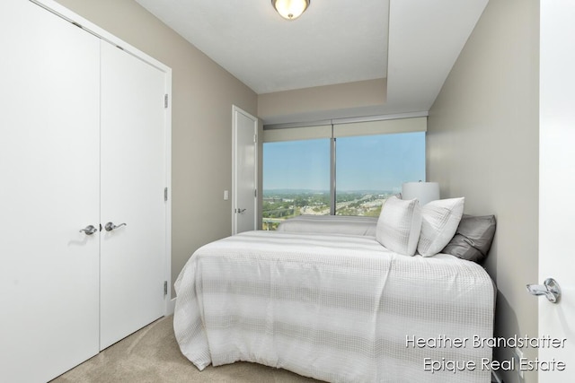335 Bridge St NW Unit 1101, Grand Rapids, MI 49504 - view of carpeted bedroom