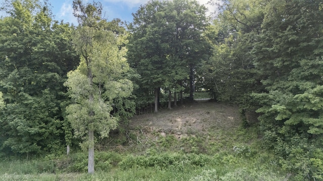 15326 Madron Lake Rd, Buchanan, MI 49107