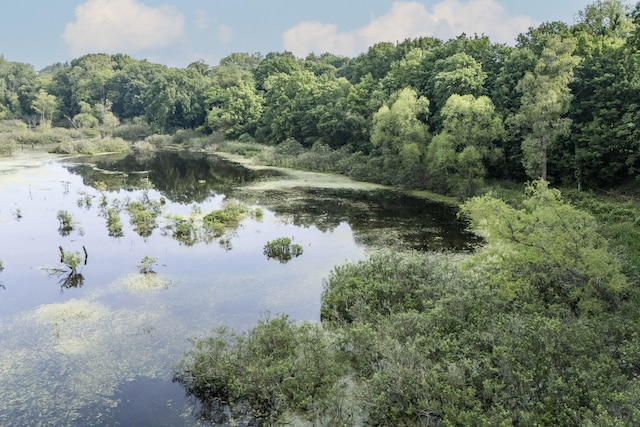 15326 Madron Lake Rd, Buchanan, MI 49107