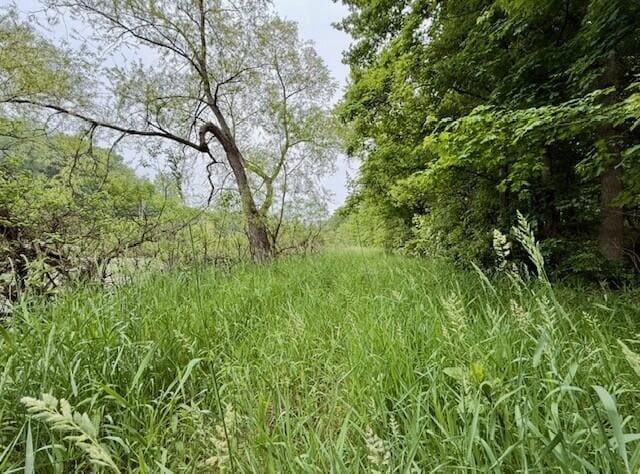 15326 Madron Lake Rd, Buchanan, MI 49107