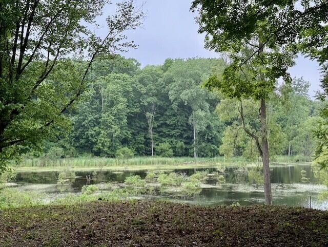 15326 Madron Lake Rd, Buchanan, MI 49107