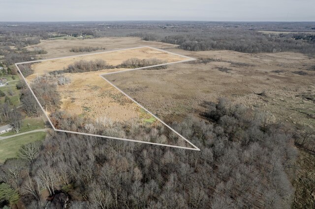 Harr Rd, Chelsea, MI 48118 - photo 9