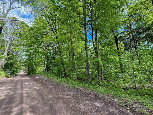 157.22 E 24th St, Reed City, MI 49677