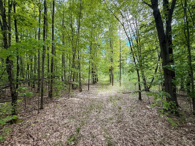 157.22 E 24th St, Reed City, MI 49677