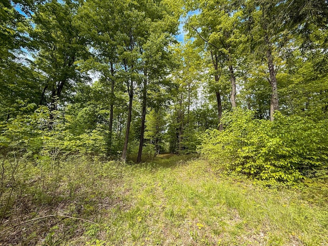 157.22 E 24th St, Reed City, MI 49677