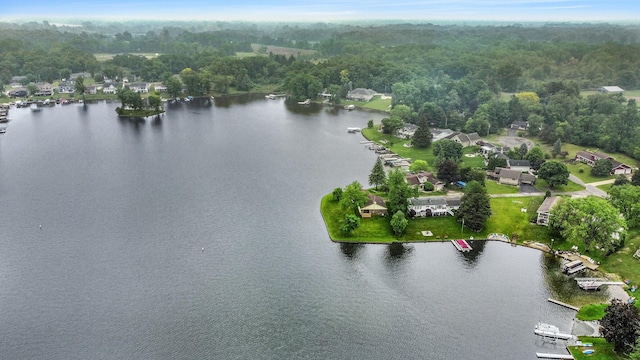 288 Riviera Dr, Brooklyn, MI 49230