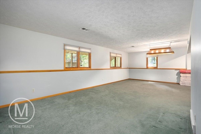 9057 Vergennes St SE, Ada, MI 49301 - spare room with healthy amount of natural light, carpet, baseboards, a textured ceiling, and baseboard heating
