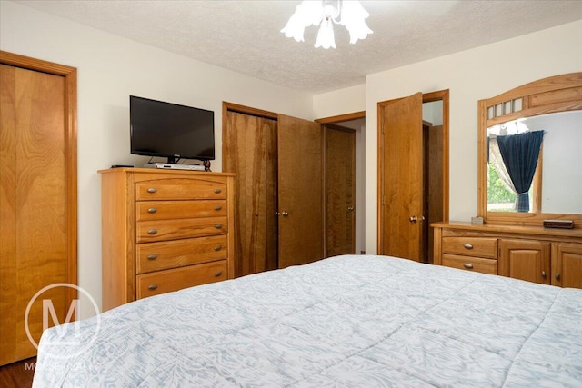 9057 Vergennes St SE, Ada, MI 49301 - bedroom featuring a textured ceiling and multiple closets