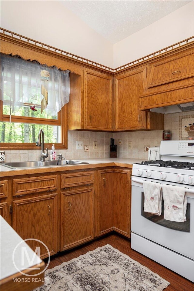 9057 Vergennes St SE, Ada, MI 49301 - kitchen featuring white gas stove, a sink, brown cabinets, and decorative backsplash