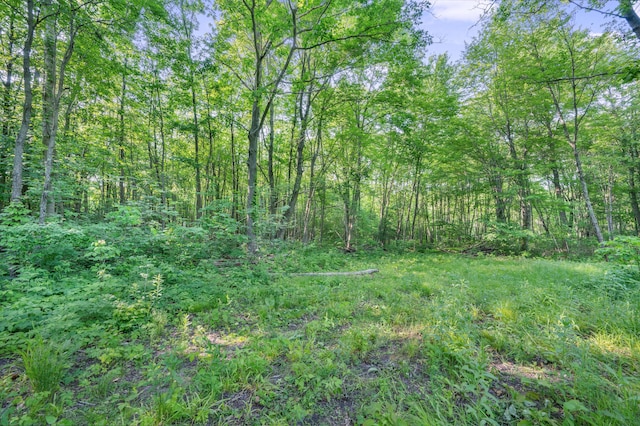 V/L N Mill Iron Rd, Muskegon, MI 49442