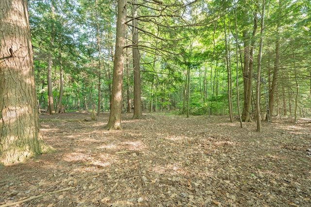 V/L N Mill Iron Rd, Muskegon, MI 49442