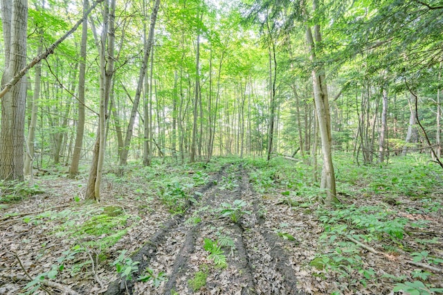 V/L N Mill Iron Rd, Muskegon, MI 49442