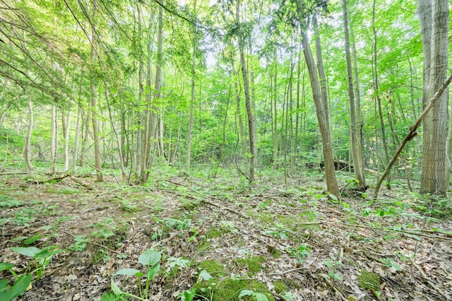 V/L N Mill Iron Rd, Muskegon, MI 49442