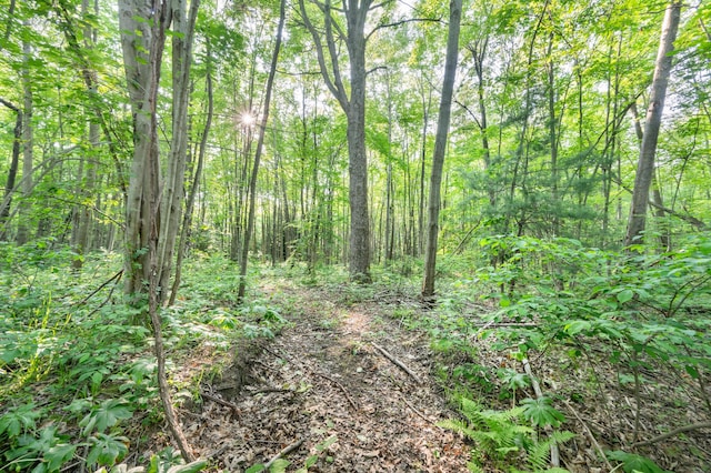 V/L N Mill Iron Rd, Muskegon, MI 49442