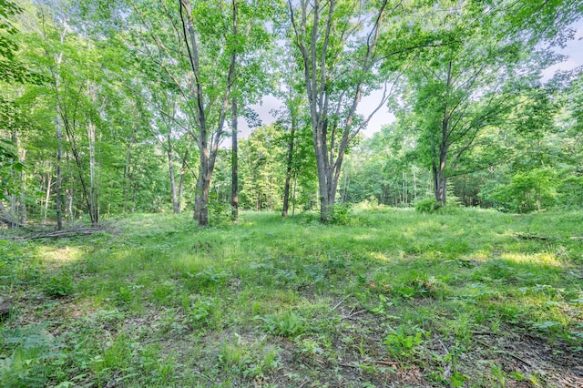 V/L N Mill Iron Rd, Muskegon, MI 49442