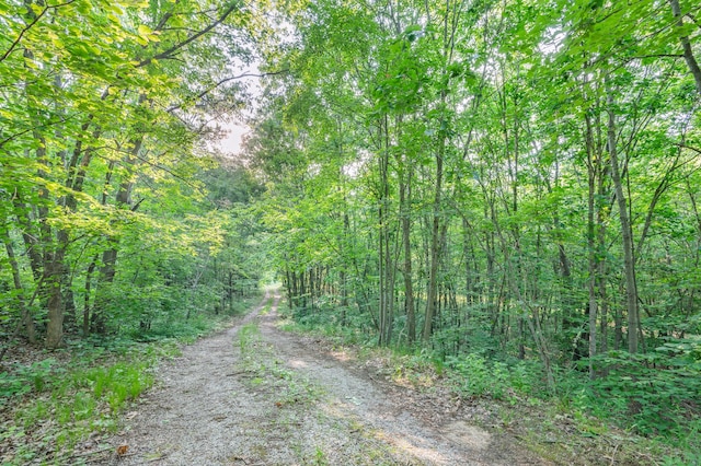 V/L N Mill Iron Rd, Muskegon, MI 49442