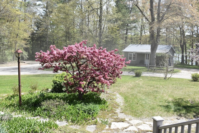 226 N 176th Ave, Walkerville, MI 49459 - view of green lawn