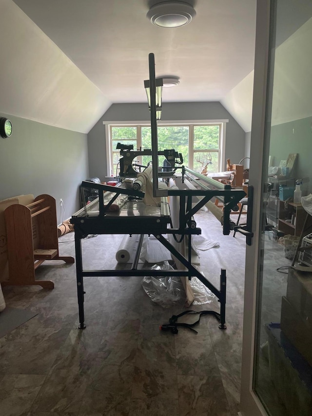 226 N 176th Ave, Walkerville, MI 49459 - workout room featuring lofted ceiling, plenty of natural light, and carpet