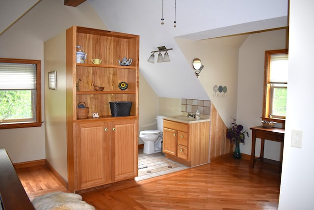 226 N 176th Ave, Walkerville, MI 49459 - bathroom featuring lofted ceiling, toilet, wood finished floors, vanity, and baseboards