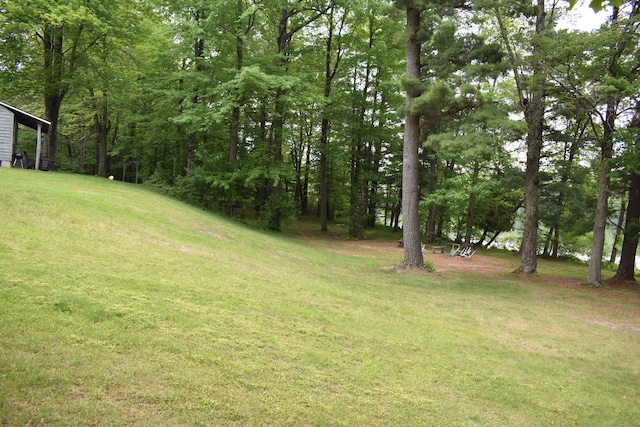 226 N 176th Ave, Walkerville, MI 49459 - view of green lawn