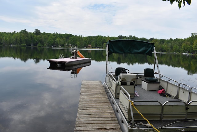226 N 176th Ave, Walkerville, MI 49459 - dock area with a wooded view and a water view