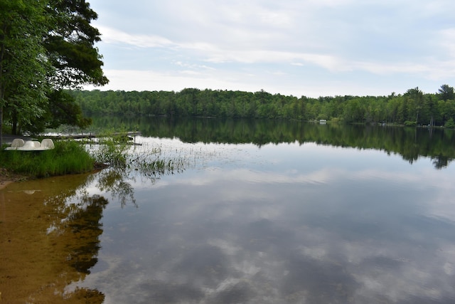 226 N 176th Ave, Walkerville, MI 49459 - water view featuring a heavily wooded area