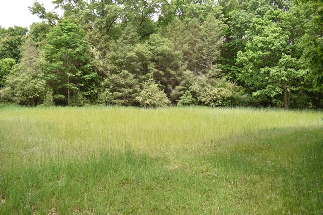 226 N 176th Ave, Walkerville, MI 49459 - view of tree filled area