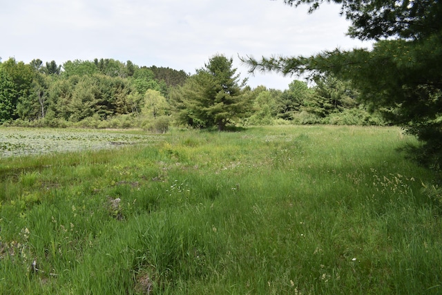 226 N 176th Ave, Walkerville, MI 49459 - view of tree filled area