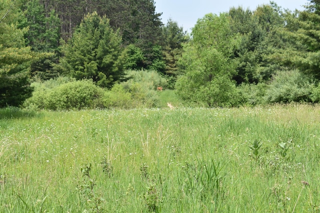226 N 176th Ave, Walkerville, MI 49459 - view of nature