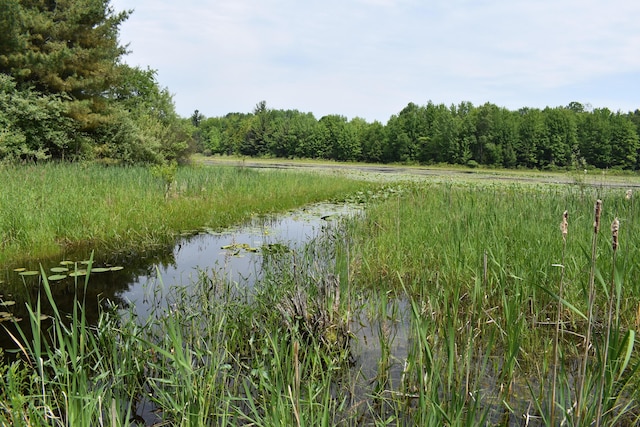 226 N 176th Ave, Walkerville, MI 49459 - water view