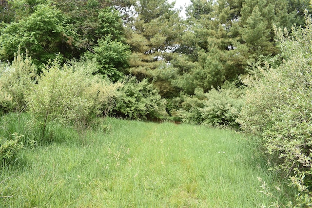 226 N 176th Ave, Walkerville, MI 49459 - view of undeveloped land