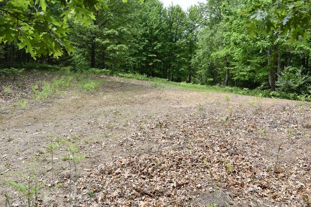 226 N 176th Ave, Walkerville, MI 49459 - view of nature