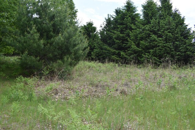 226 N 176th Ave, Walkerville, MI 49459 - view of undeveloped land