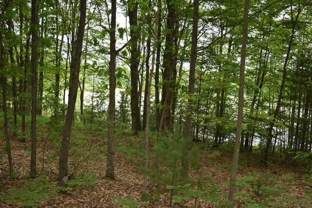 226 N 176th Ave, Walkerville, MI 49459 - view of woods
