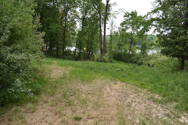 226 N 176th Ave, Walkerville, MI 49459 - view of nature