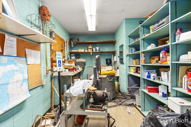 306 W Russell St, Hubbardston, MI 48845 - view of storage