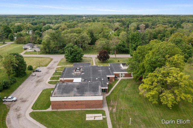 306 W Russell St, Hubbardston, MI 48845 - aerial view of a forest