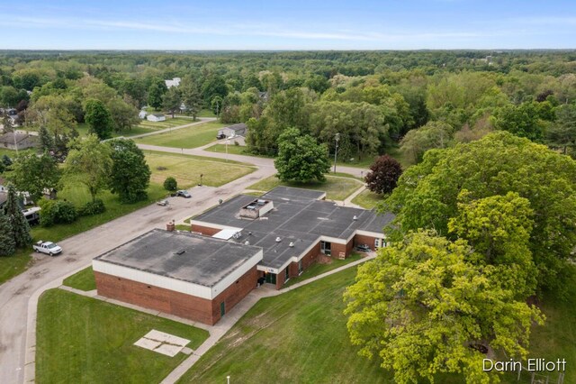 306 W Russell St, Hubbardston, MI 48845 - bird's eye view of a forest