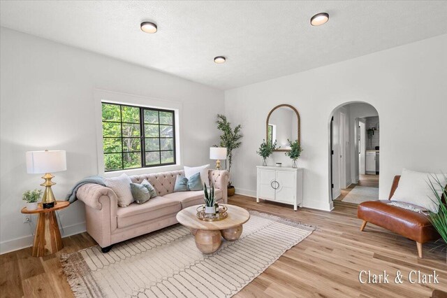 820 Hackett St, Ionia, MI 48846 - living area with arched walkways, light wood finished floors, and baseboards