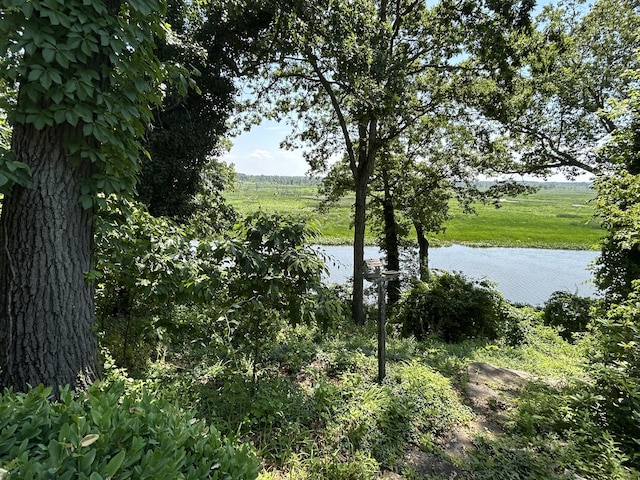 6242 131st Ave, Saugatuck, MI 49453 - photo 83