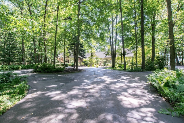 6242 131st Ave, Saugatuck, MI 49453 - photo 75