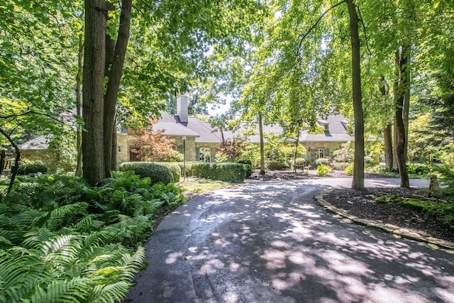 6242 131st Ave, Saugatuck, MI 49453 - photo 76
